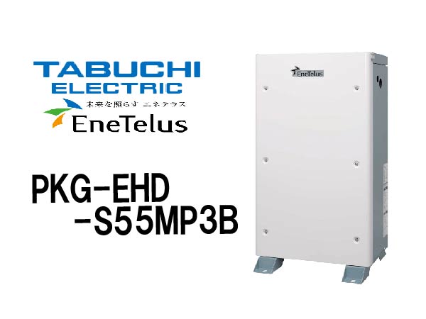 【田淵電機】ハイブリッド蓄電システム