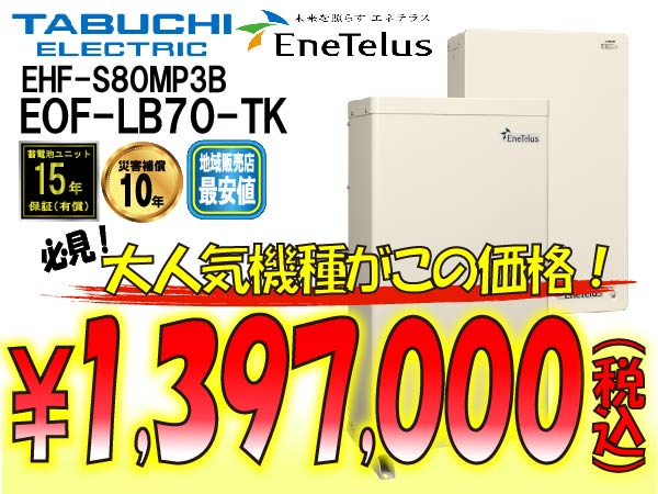【田淵電機】EOF-LB70-TK ハイブリッド蓄電システム アイビス7 パワコン8.0kW
